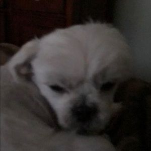 Meet your Posher, Edma